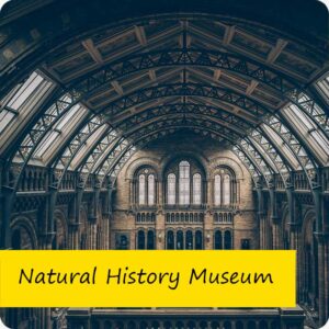 1. Open Daily: Natural History Museum - London, England