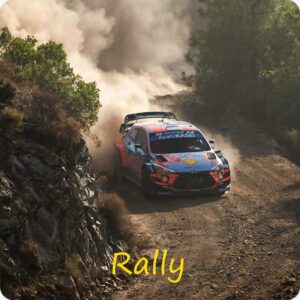 2025.11.27-30 WRC Rally Saudi Arabia