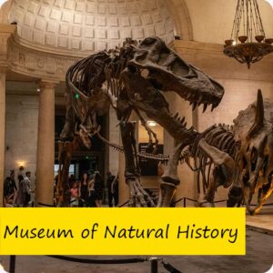 1. Open Daily: Museum of Natural History - Berlin, Germany (Kopia)